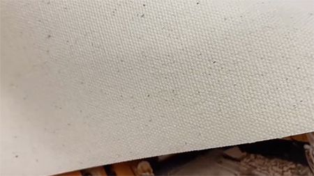 Water Resistant Cotton Canvas